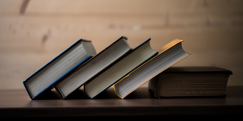 How Literature Saved My Life 